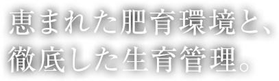 恵まれた肥育環境と、徹底した生育管理。