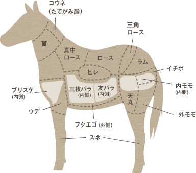 馬の部位