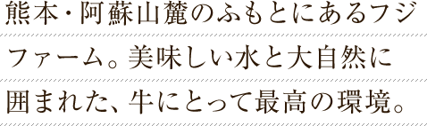 熊本・阿蘇山麓のふもとにあるフジファーム。美味しい水と大自然に囲まれた、牛にとって最高の環境。