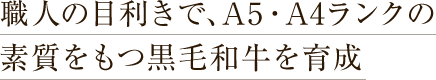 職人の目利きで、A5・A4ランクの素質を持つ黒毛和牛を育成