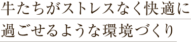 牛たちがストレスなく快適に過ごせるような環境づくり