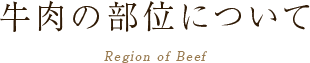 牛肉の部位について